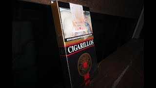 REVIEW Djarum Cigarillos  Kretek CIgarillos [upl. by Ardnohsal547]