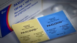 Are Some COVID Patients Not Taking Paxlovid [upl. by Carrie]