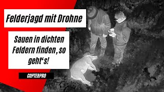 Sauensuche in den Erbsen Drohne mit Wärmebildkamera DJI Advanced bei der Jagd Mavic 2 Copterpro [upl. by Beard]