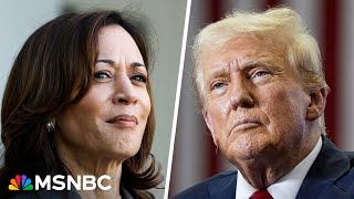 Kamala Harris erases Trumps swing state lead in new poll resetting race [upl. by Nirual]