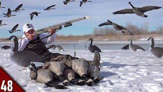 EPIC Solo Goose Hunt on ICE Limited Out  Goose Hunting 2022 [upl. by Aynotal579]