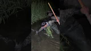 Primitive live in taichung taiwan village amizing fishingtechniques fypシ゚viralシ2024fyp [upl. by Nyliak764]