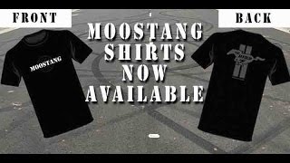 Moostang TShirt Reveal [upl. by Annairb93]