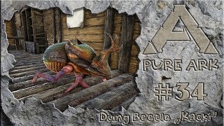 ARK Survival Evolved  Pure ARK 34 DungBeetle zähmen [upl. by Notterb]