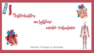 Introduction au système cardiovasculaire [upl. by Naillimixam]