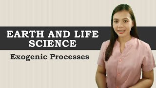 Exogenic Processes  Earth and Life Science [upl. by Enait272]