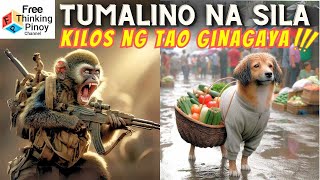 30 mins COMPILATION SMART ANIMAL MOMENTS  HAYOP NAKUNAN NA PARANG TAO [upl. by Clemmy124]