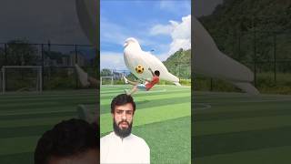 Reaction on white eagle statue 3D Special Effects  3D Animation shorts youtubeshorts vfxhd [upl. by Philbo]