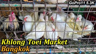 Walking Tour of Khlong Toei Market Bangkok Thailand  GoPro 11 53K November 2022 [upl. by Krisha]