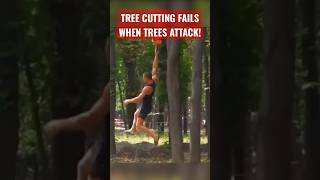 Tree Cutting Fails  When Trees Attack 2 [upl. by Pages]