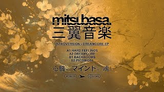 Introversion  Backrooms  Preview B1  Mitsubasa MTB015 [upl. by Cristina513]