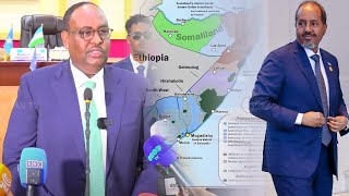 DegdegMadaxweyne Siciid Dani”DFS Khariirada ay daabacday waa arin dhiilo leh [upl. by Pepito]