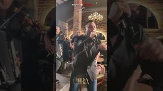 Orkestar Dragana Cirkovica Cire i Darko Lazic  Gori kafana 💥💥💥 [upl. by Noinatrad]