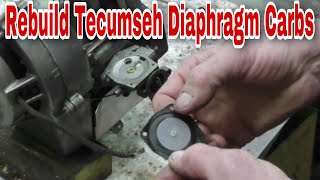 How To Rebuild Tecumseh Diaphragm Carburetors with Taryl [upl. by Marjory]