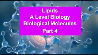 Part 4 Lipids  Biological Molecules [upl. by Togram]