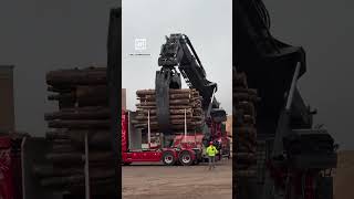 Machine Unloads Large Amounts Of Timber 😮 🎥 igmuellertimberservices [upl. by Margarita]