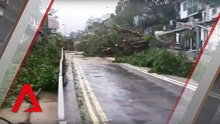 Parts of Hong Kong in tatters in wake of Typhoon Mangkhut [upl. by Levram]