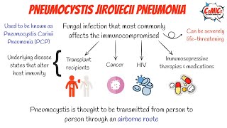 CoMICs Episode 51 Pneumocystis Jiroveci Pneumonia [upl. by Kerin]