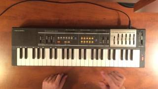 Realistic Concertmate 600 Casio MT100  A Quick Look  Midiverse  TV [upl. by Iuq541]