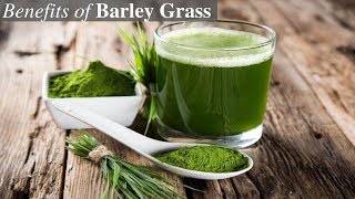 9 Amazing Health Benefits of Barley Grass [upl. by Naols]