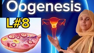 Human ReproductionL8OogenesisFormation of eggstructure of ovaryNEET 2024MDCAT 2024BIOLOGY [upl. by Olifoet]