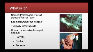 Parrot Fever  Psittacosis [upl. by Riki]