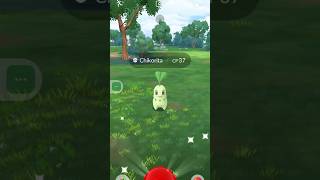 Caught a Chikorita in Pokemon go pokemongo [upl. by Ssegrub19]