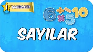 Sayılar 📘 1Sınıf Matematik 2025 [upl. by Teddman731]