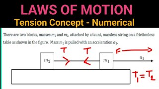 Massless String on Frictionless Concept Tension force Numerical Laws of Motion CBSE [upl. by Adnahcal]