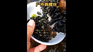 戶外捕魚：漁民使用自家的漏勺在水下捕獲巨量螺絲 逮魚摸蝦 趕海 養魚日記 [upl. by Martinson382]