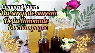 COMMENT FAIRE DU SIROP DE LA LIMONADE ET CHAMPAGNE AVEC LE SUREAU [upl. by Alikat]