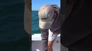 Sheepshead teeth are wild bluecreekoutdoors fishing fish ocean outdoors mississippi gulfcoast [upl. by Gaeta]