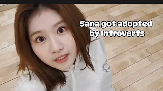 Sana the energetic Extrovert [upl. by Ahsinnor]