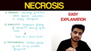 Necrosis  1  Pathology  EOMS [upl. by Nor]