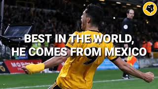 Raul Jimenez Song  Wolves Mexican Number 9  Wolves Chant 3 [upl. by Sirmons862]