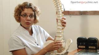 Sacroiliac Joint Pain Si Joint  A Chiropractors View [upl. by Osgood]