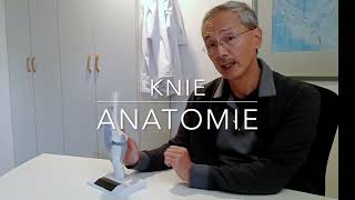 Knie anatomie [upl. by Adnoryt]