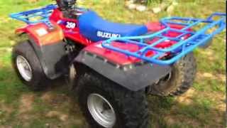 FIXING SUZUKI QUADRUNNER 250 1993 [upl. by Ettennaj512]