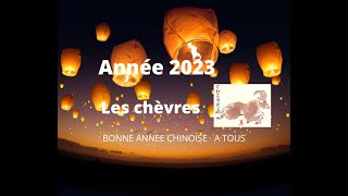 🐐🐑 Chèvres moutons signe astrologique chinois pour lannée 2023 🐑🐐 [upl. by Ennoryt]