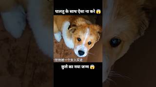 प्यारा कुत्ता और उसके पिछले जन्म की यादें 😱  short anime dog movie cartoon [upl. by Hedvige]