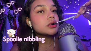 ASMR Spoolie nibbling amp mouth sounds [upl. by Aillil]