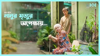 থাইল্যান্ডের সত্য ঘটনা 💔 How to Make Millions Movie Explain In Bangla Korean Drama Bangla 🟤Cinemohol [upl. by Ahseile]