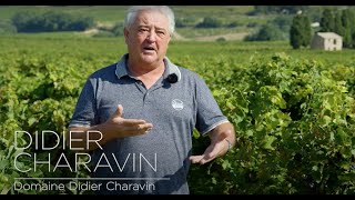 Paroles de Vignerons  Didier CHARAVIN Domaine Didier Charavin [upl. by Schnur]