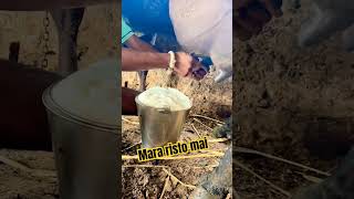 Mara risto mai youtubeshorts cow dairyfarming animals mydairyfarmlife [upl. by Lindgren28]