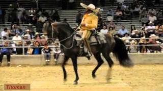 Corridos De Caballos  Antonio Aguilar [upl. by Aileda]