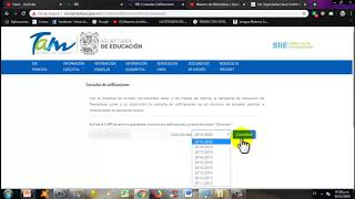 CÓMO CONSULTAR LAS CALIFICACIONES DE TUS HIJOS EN LINEA SECUNDARIA Y PRIMARIA 2020APRENDE EN CASA [upl. by Frances]