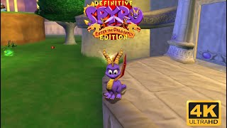 Spyro Enter the Dragonfly  Definitive Edition Mod 4K Intro and Dragon Realms [upl. by Iror]