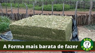 Silagem para pequeno produtor para fazer ao lado do curral [upl. by Aihtnamas310]