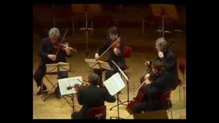 Pinchas Zukerman and WDR Soloists play Schubert Quintet 2nd Mvt [upl. by Farly]