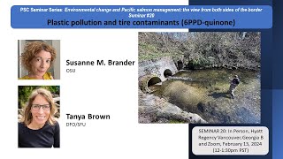 Seminar 20 Plastic Pollution and Tire Contaminants 6PPDQuinone [upl. by Wolliw]